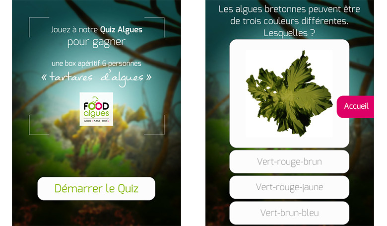 Un quizz pour les fous d'Algues